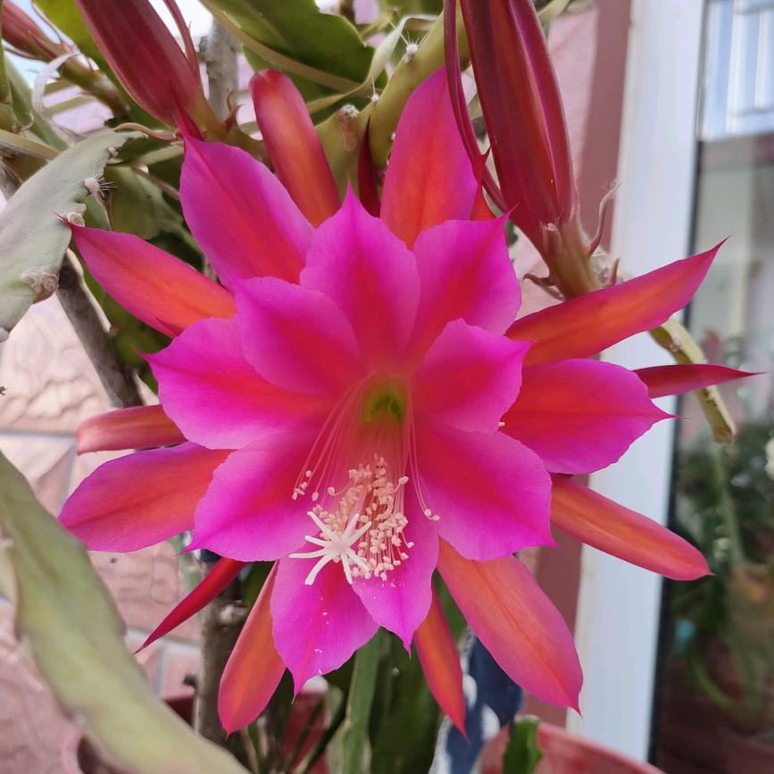 是果子呀 🧸ིྀ