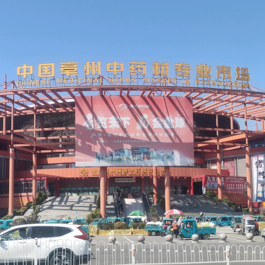 卡哥……亳州地产中药村合作社