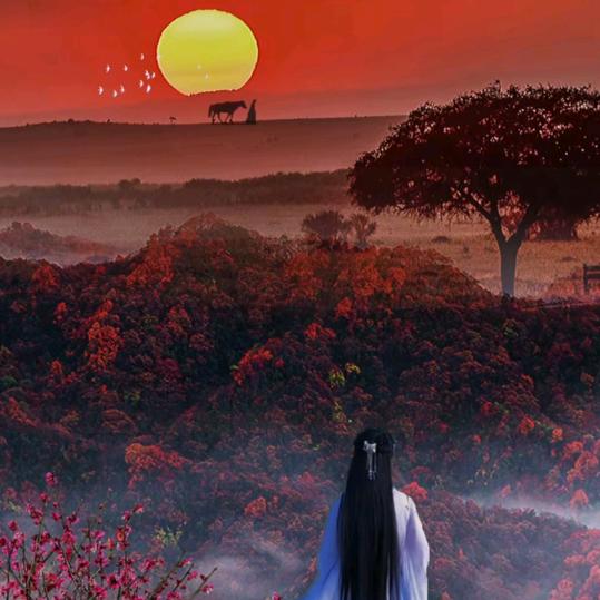 @日落归山海：山海藏深意@