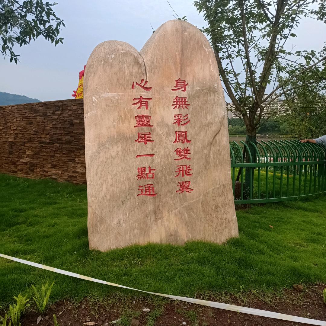 岚岚