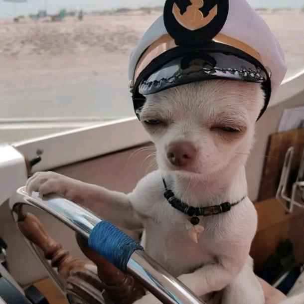 吃饱喝足长命百岁