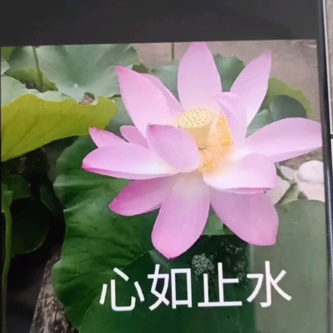 哥热电厂