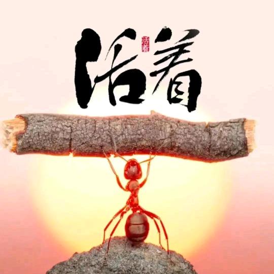 活着