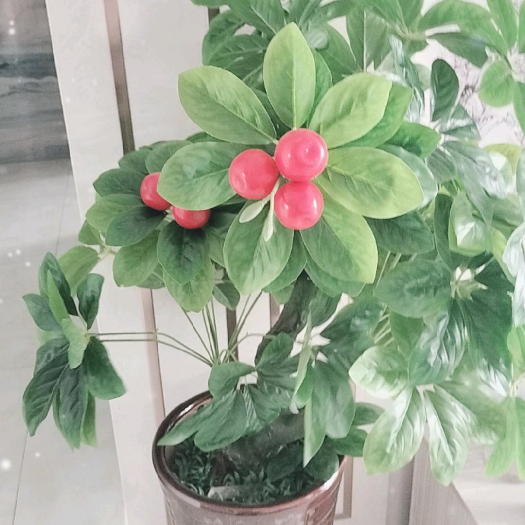 我命由我不由天
