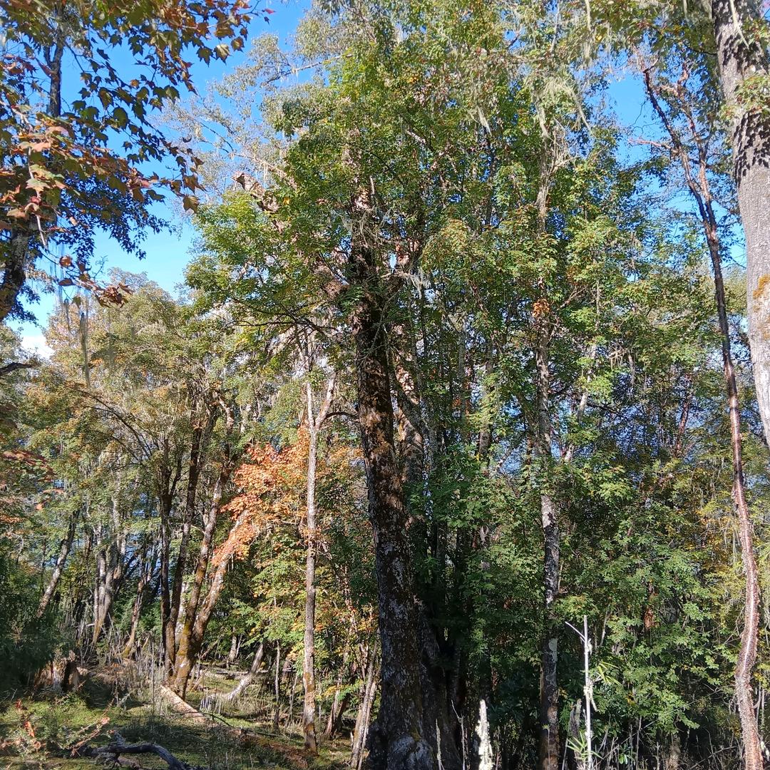 微笑吧，你是一个了不起的家伙