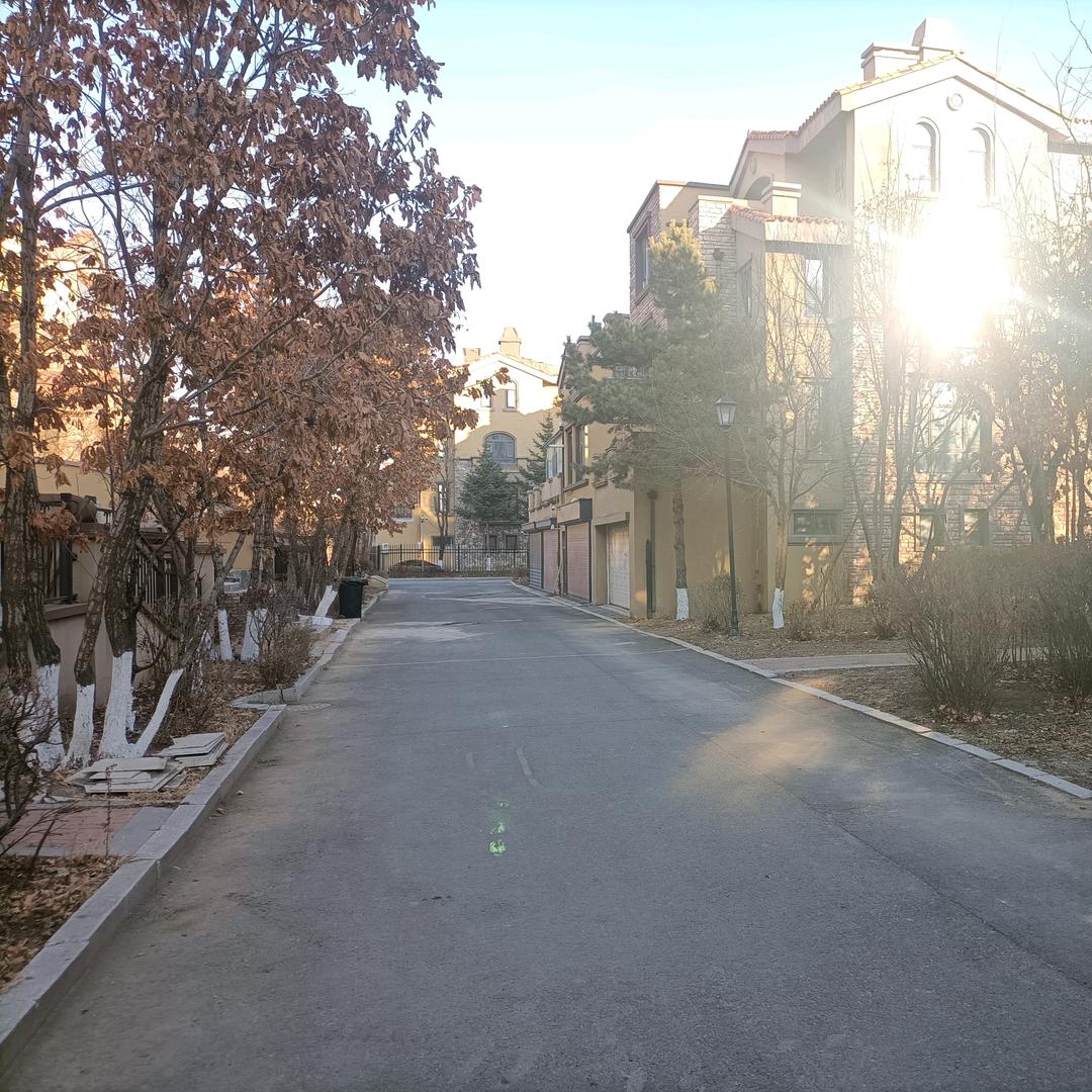 骑猫泡妞的耗子