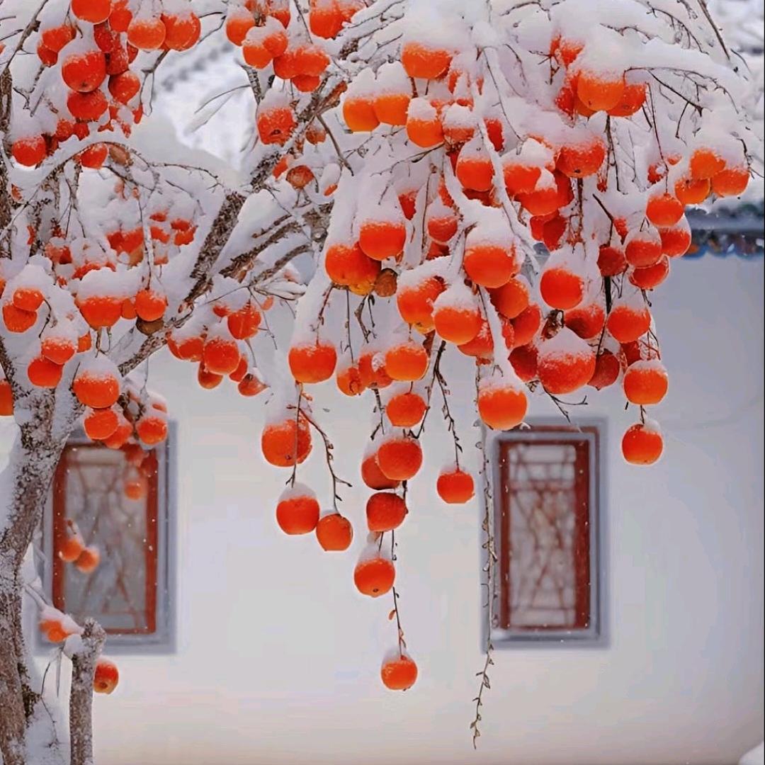 梦醒时