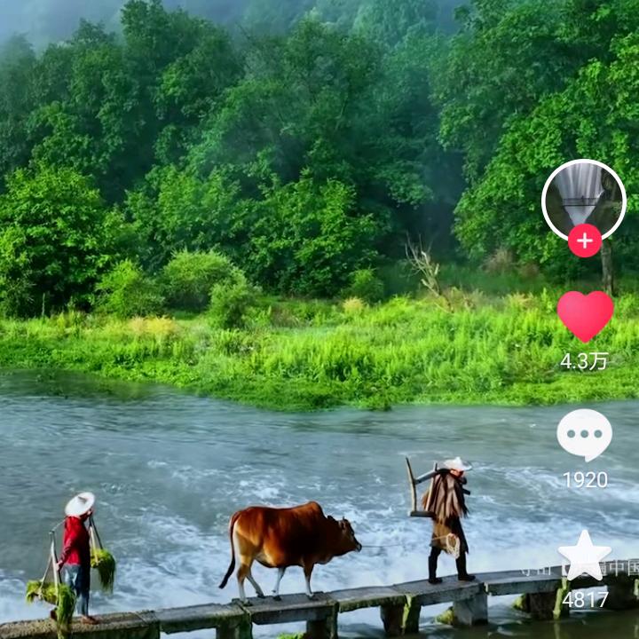 青山绿水