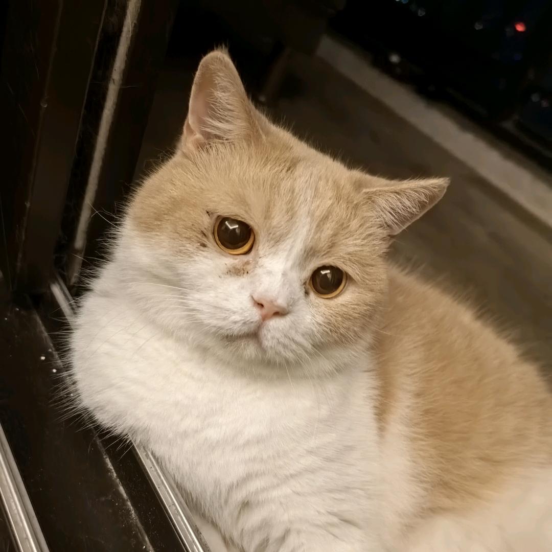 發财🍺