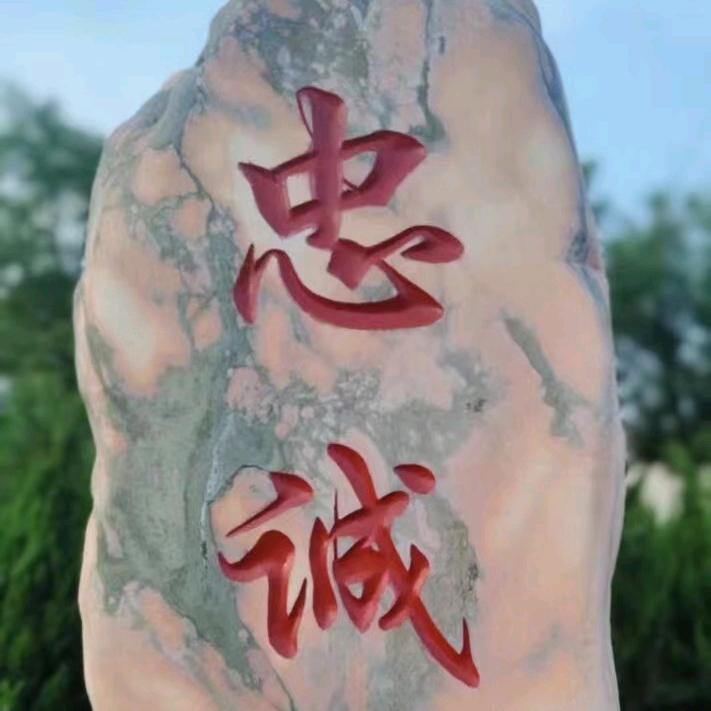 迷彩的青春
