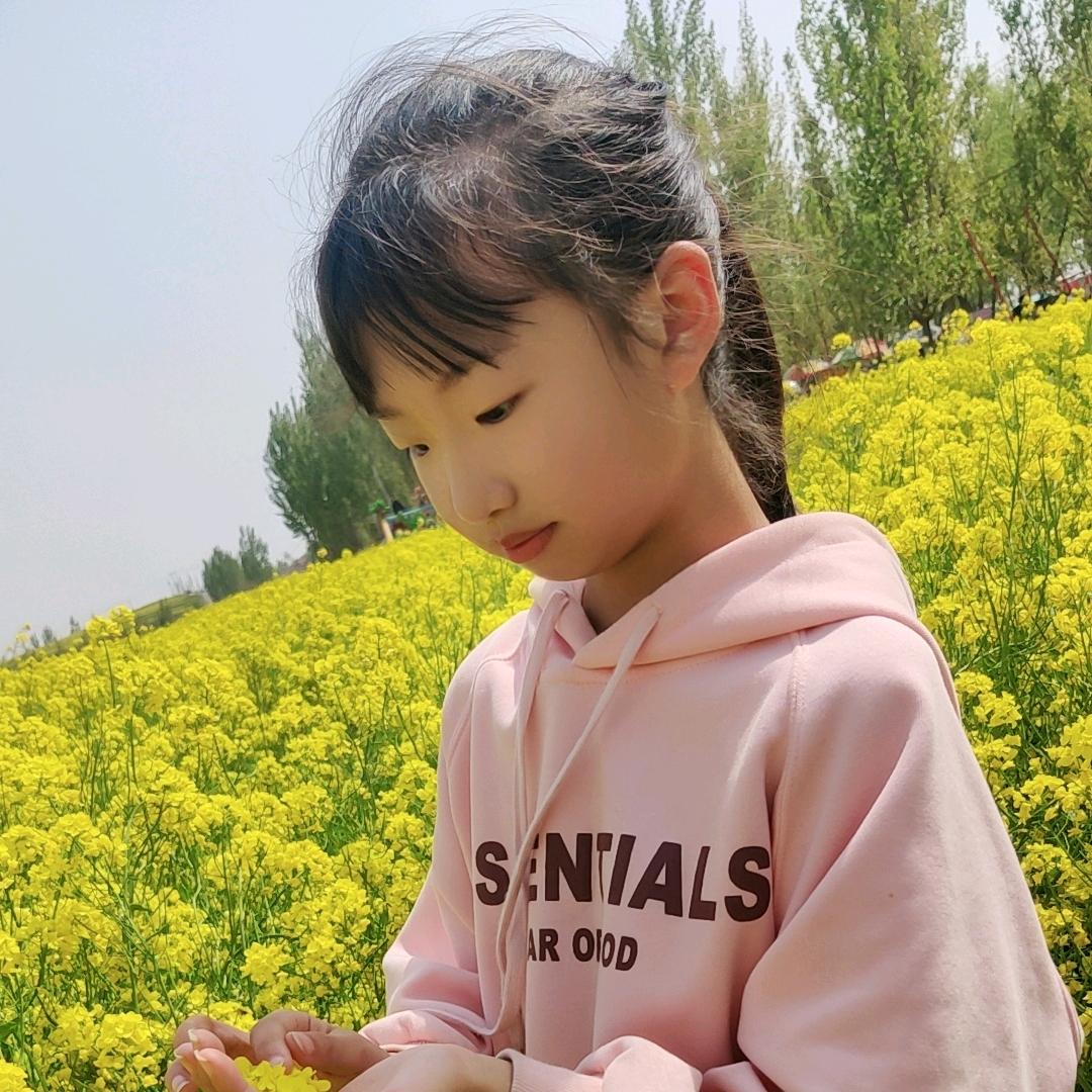 蝶恋花