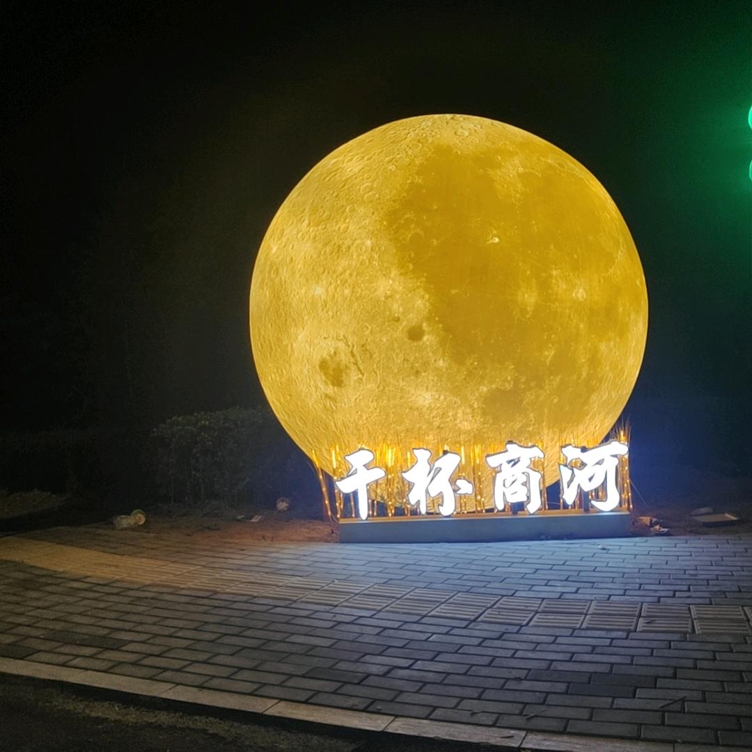 一生向阳