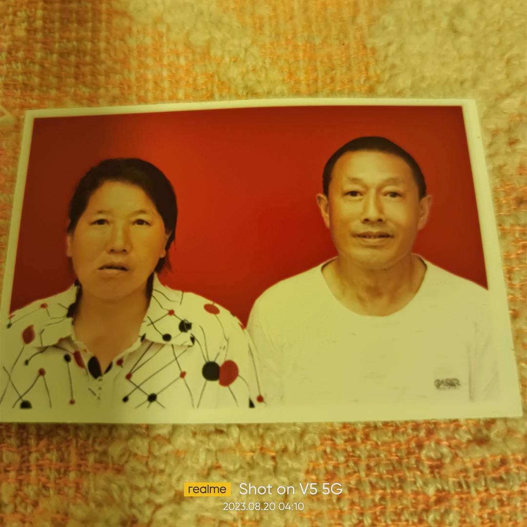 绿树长青
