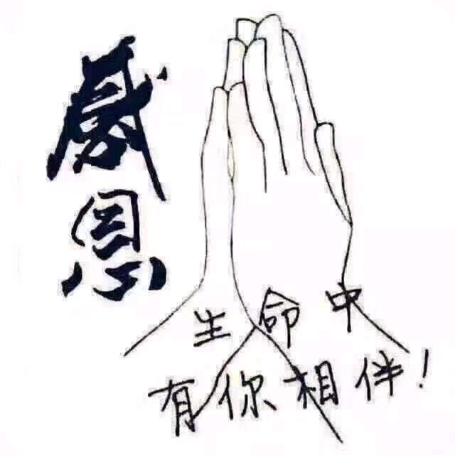 自由飞翔