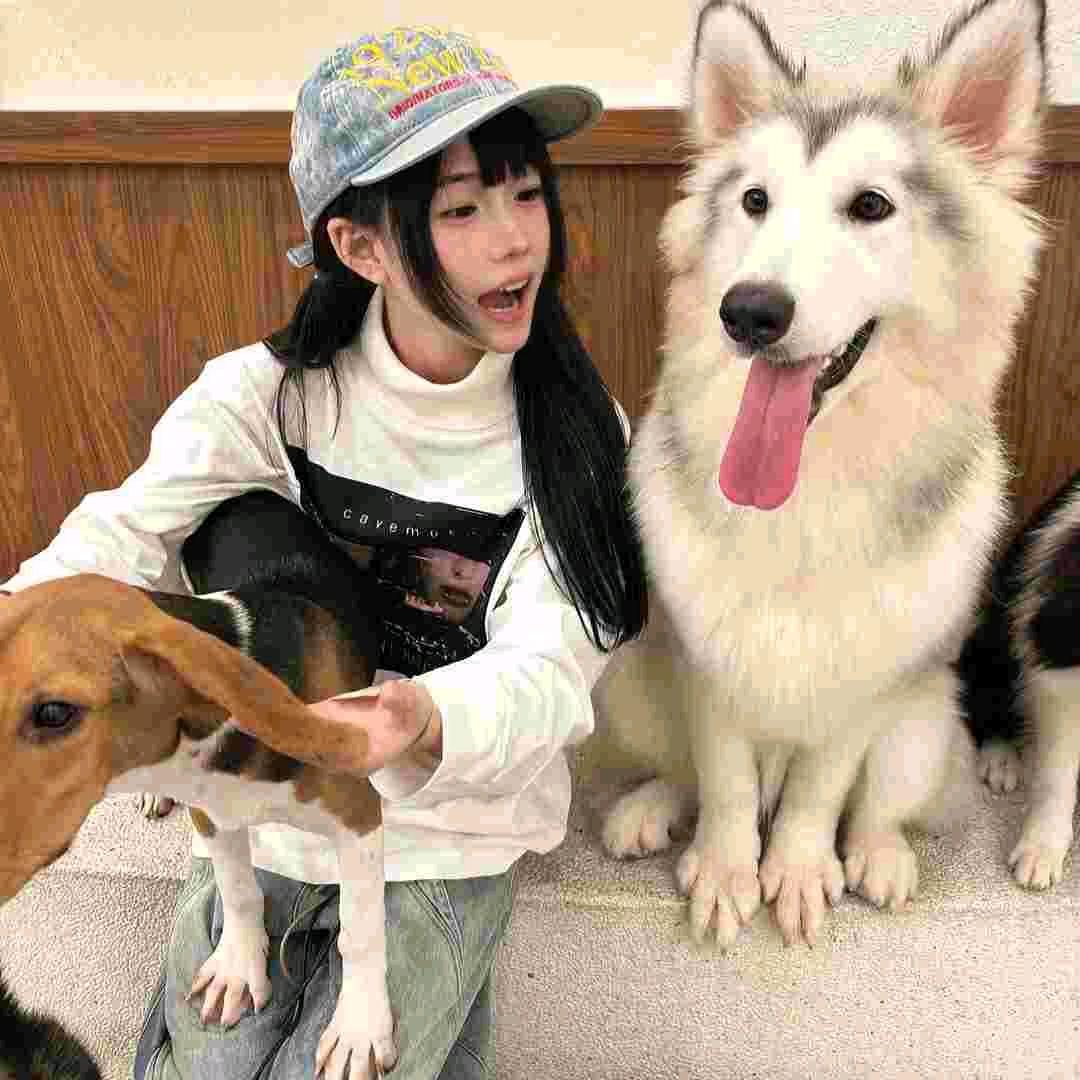 爱吃火鸡🐔面的辣条