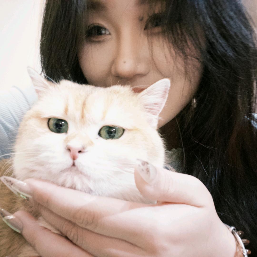 懒懒🐑