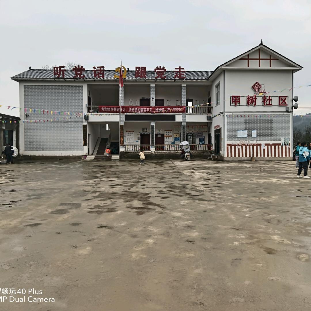 竹编之乡田园甲树