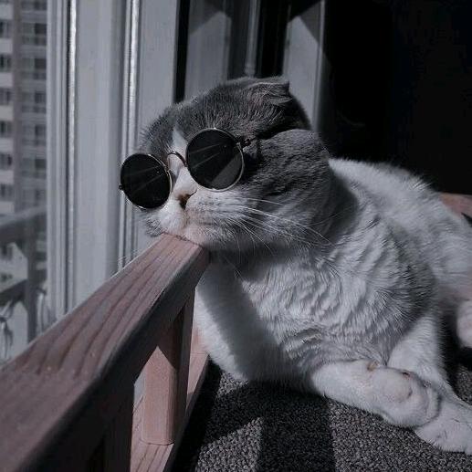 五维一体（悦玺）