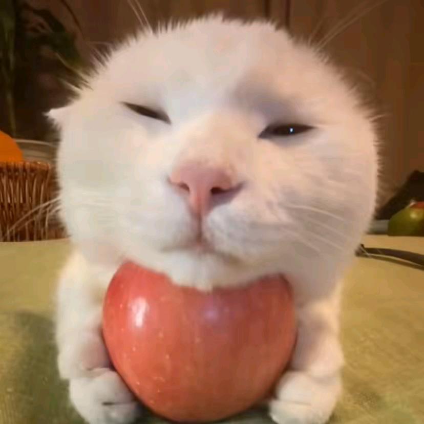 青春没有售价，猛踹女友大胯