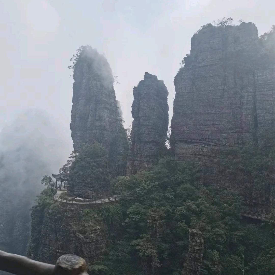 ☾⋆᭄感恩有你₁̶₃̶₁̶₄̶⋆