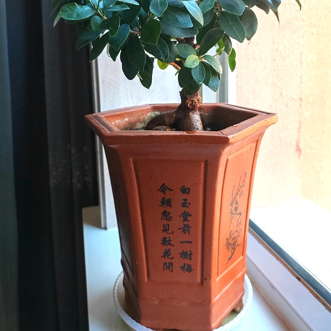 （舍于得）