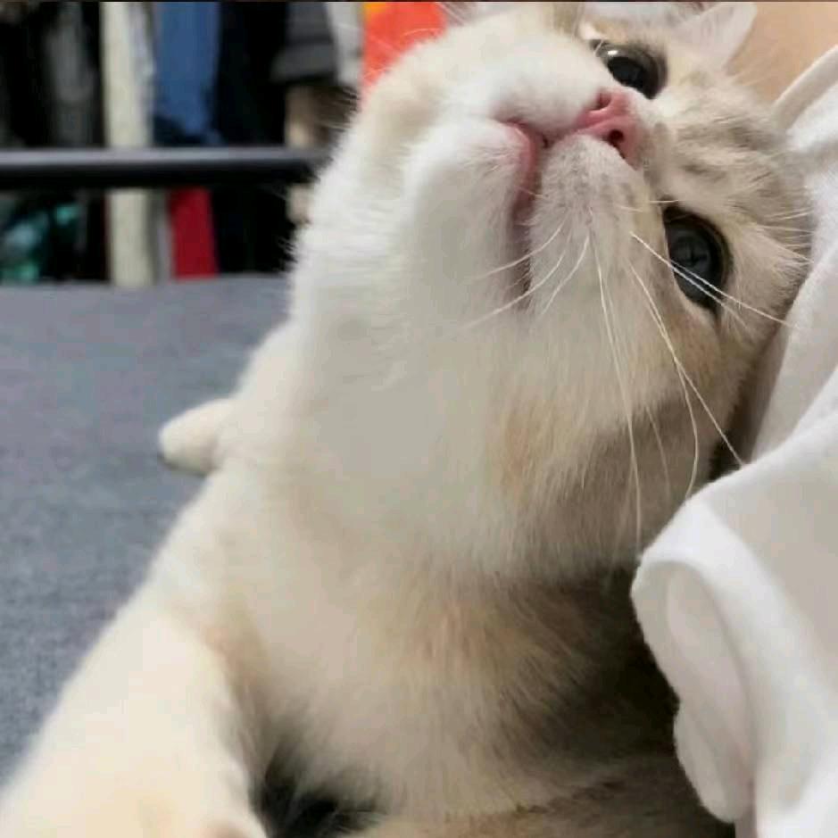 航天威风龙