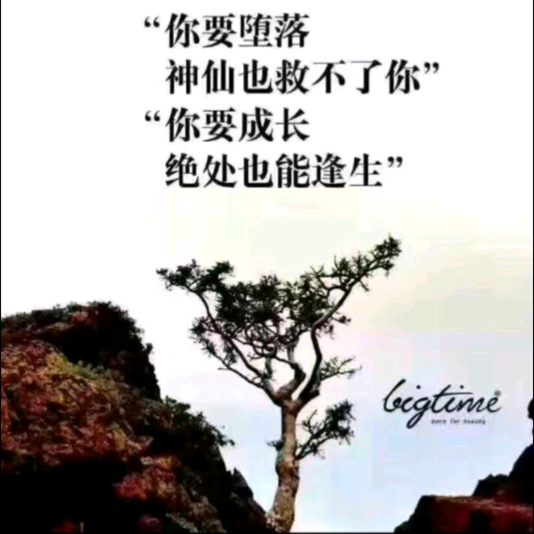 🐇秀#取关随意