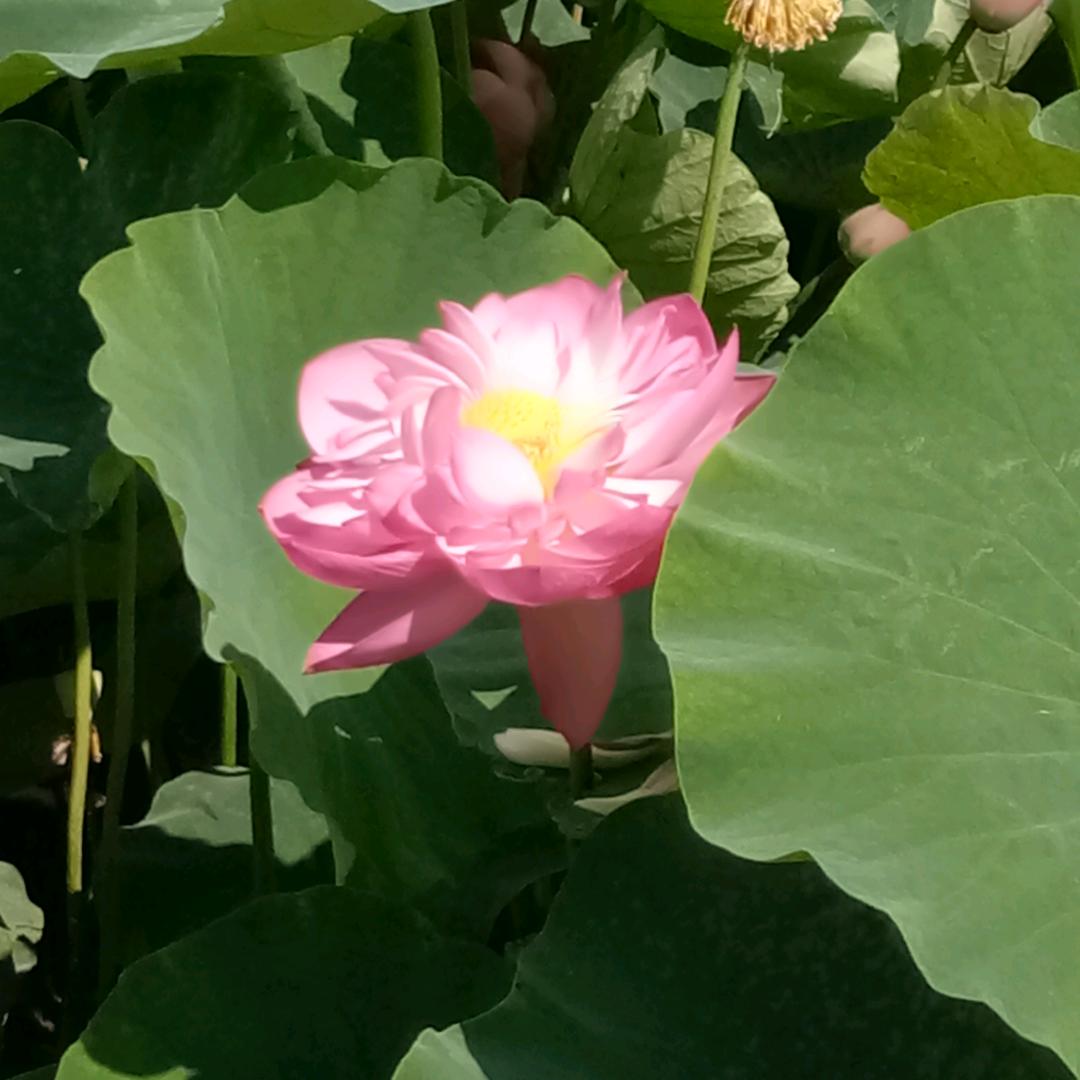 🚬ཀོ杨梅甘不器张 ꦿ҉࿐