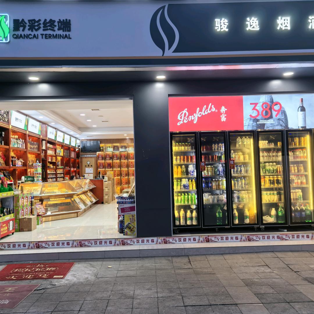 宸贵骏逸1号