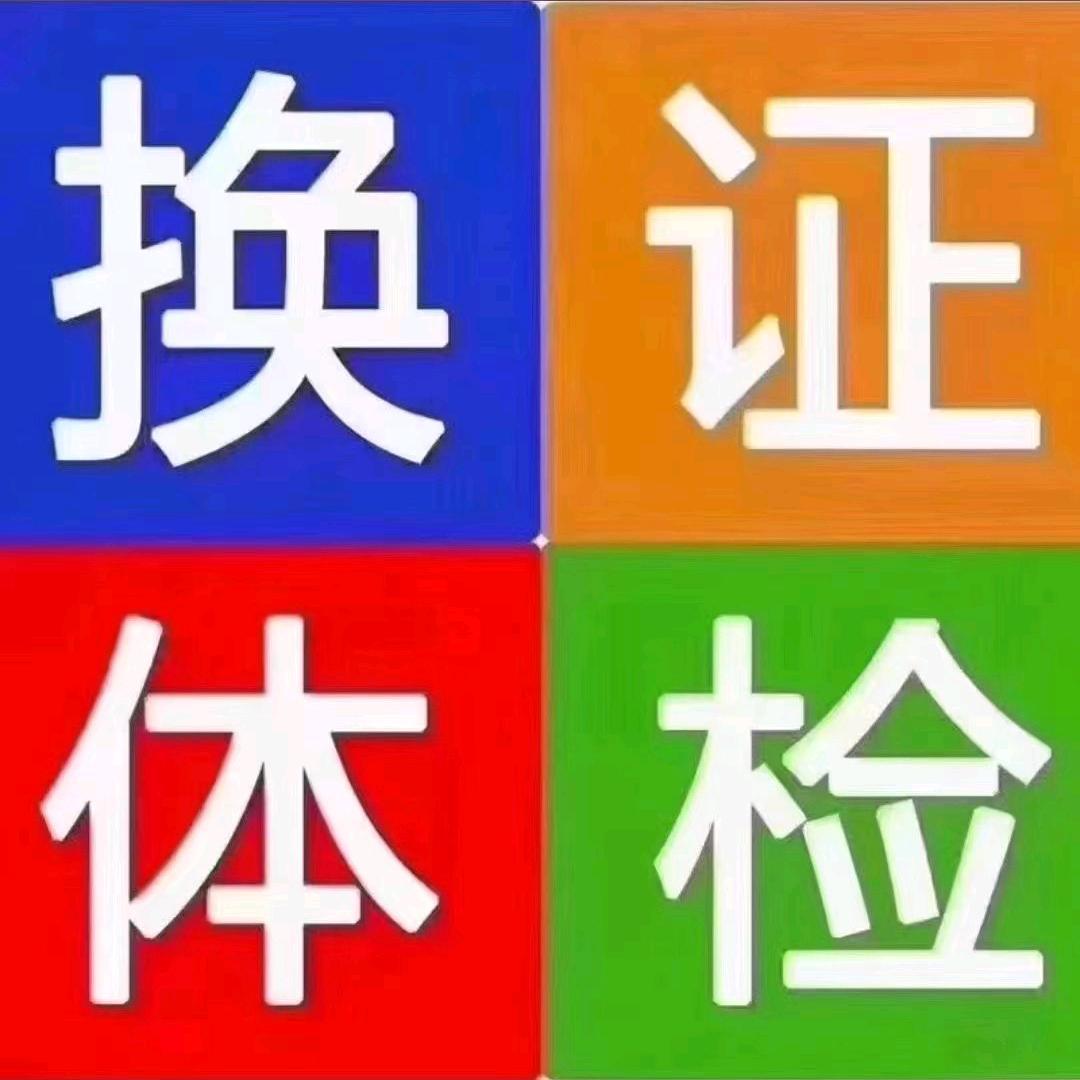 龙游四海