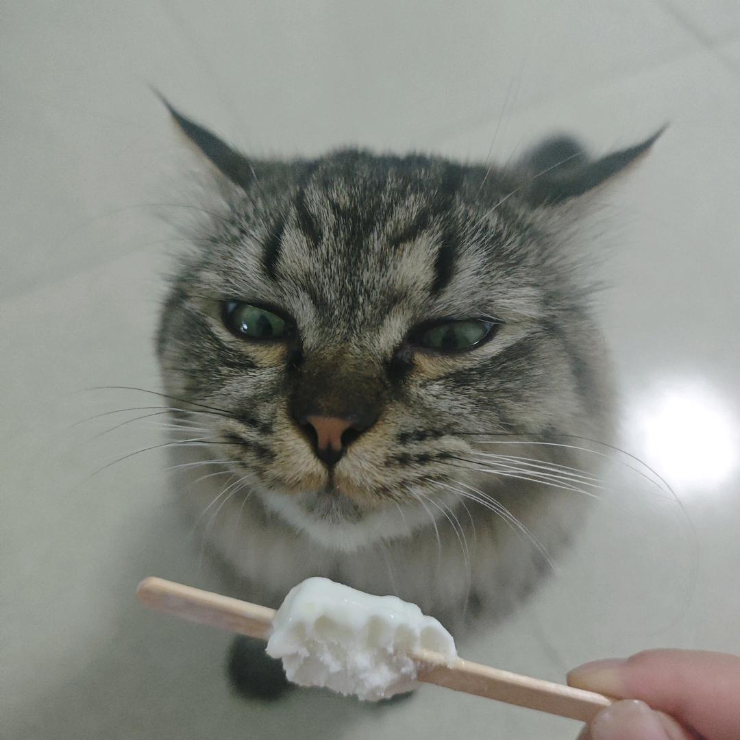 性感飞行大号蟑螂药