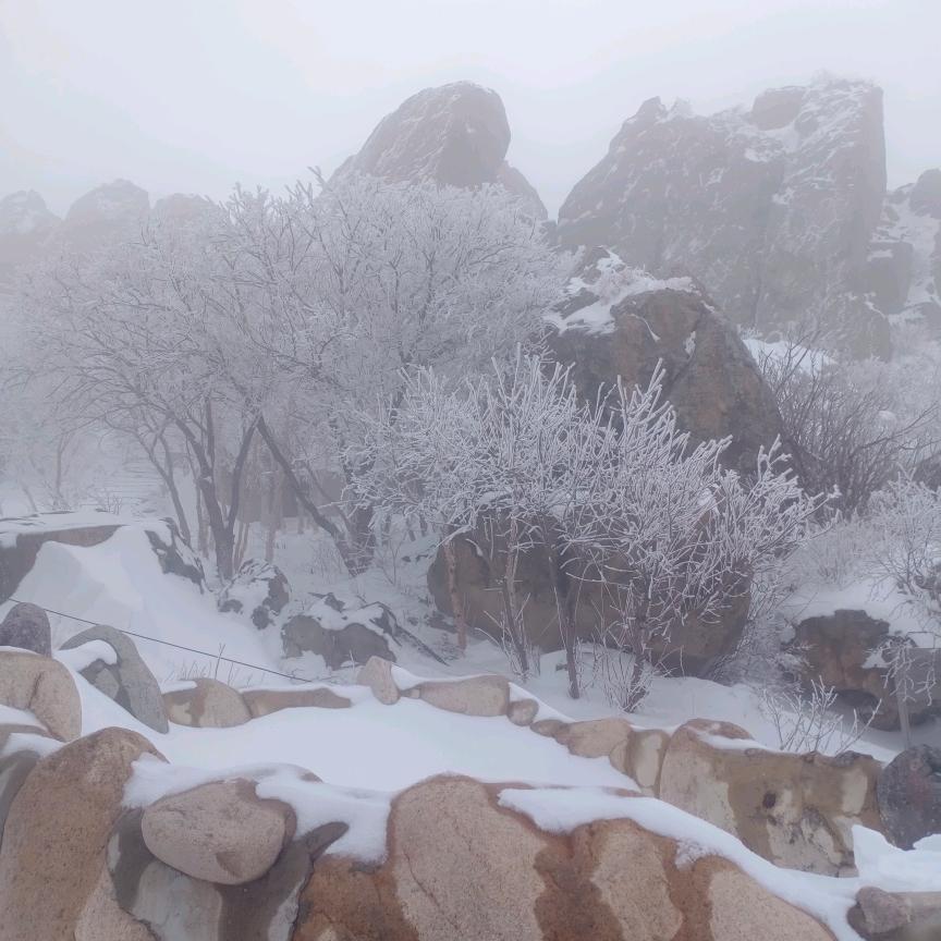 零陵上将军邢道荣