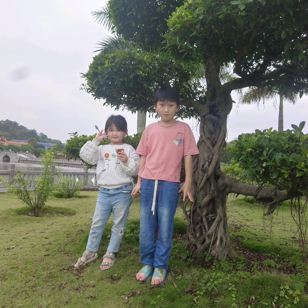 小红来了