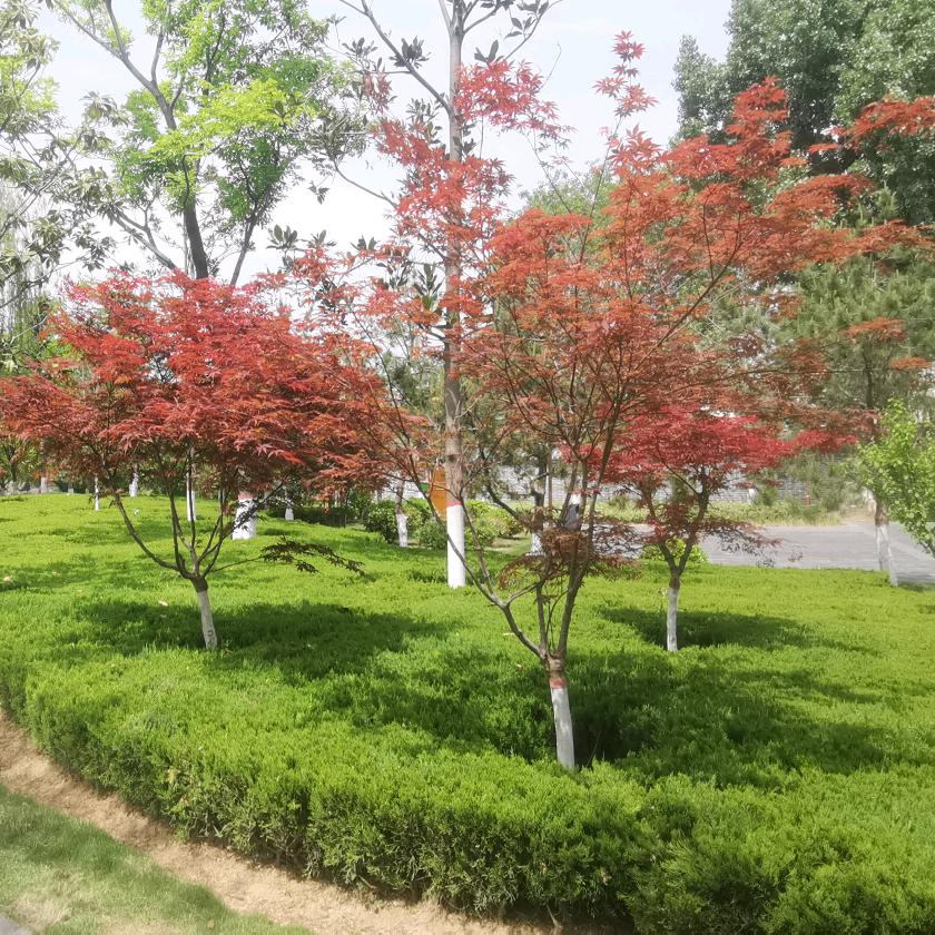 走遍美丽的地方1
