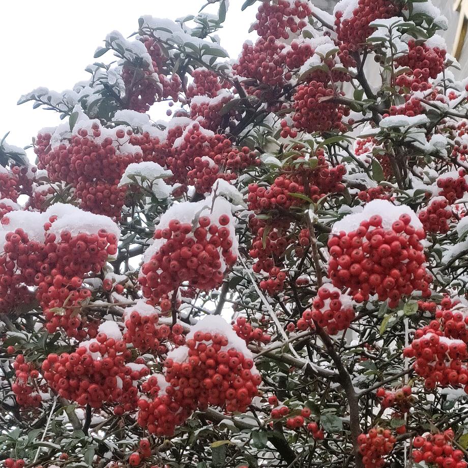 人之初，姓本尚