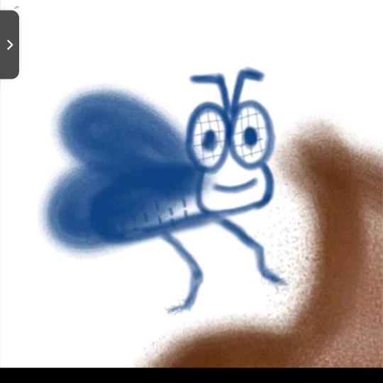 玫瑰到了花期 `💞