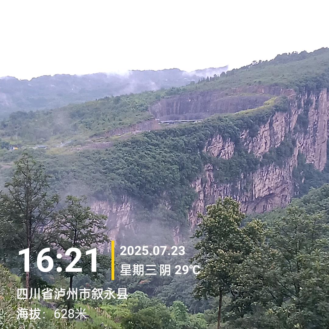 鸟语花香维也纳