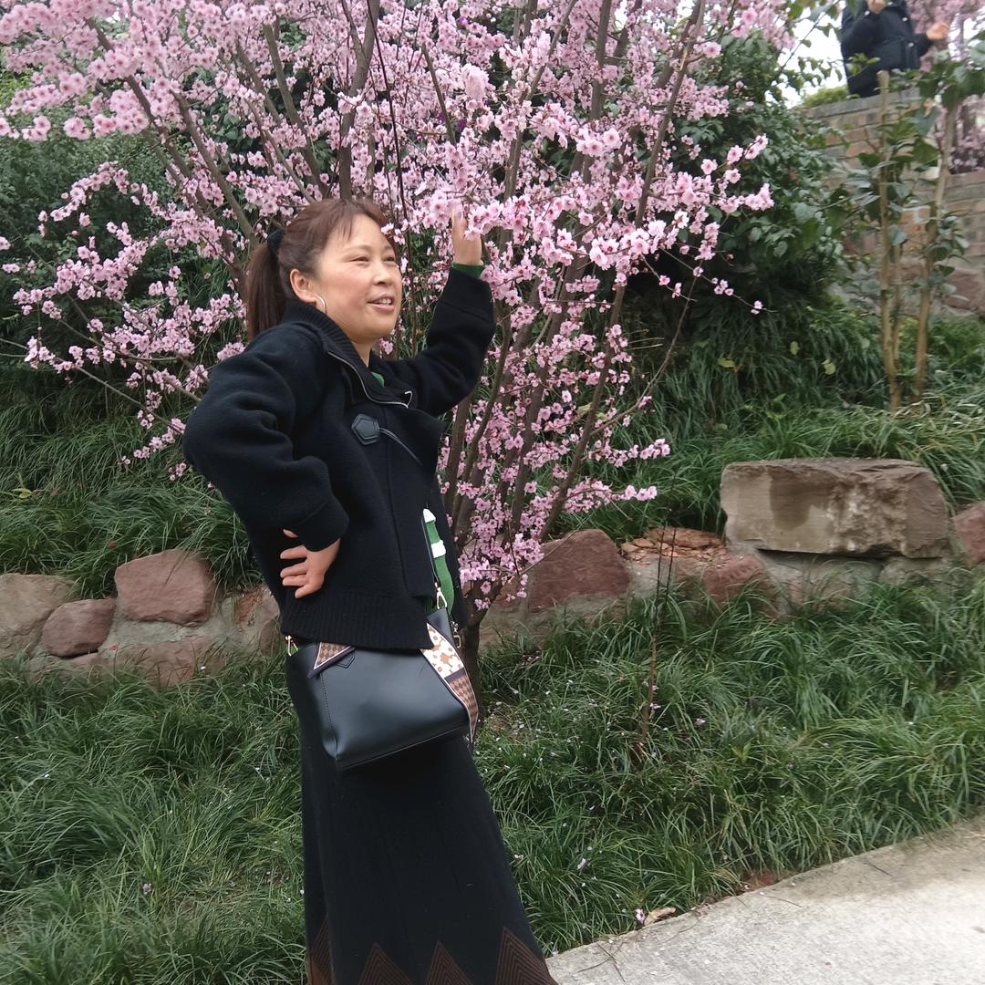 爱你不后悔