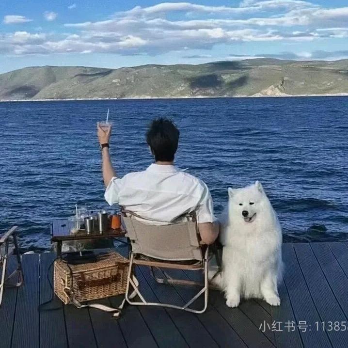 睡眠羊