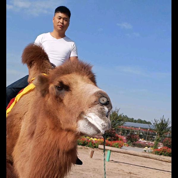 小高不高