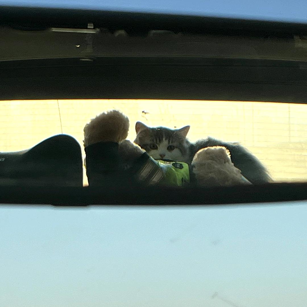 滁州机床维修 销售