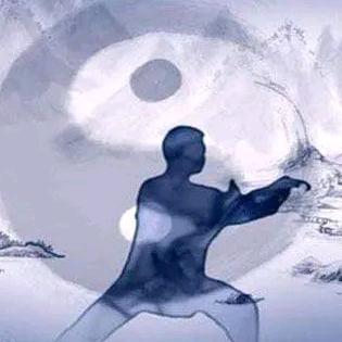 🧘‍♂️小鹿🦌乱撞