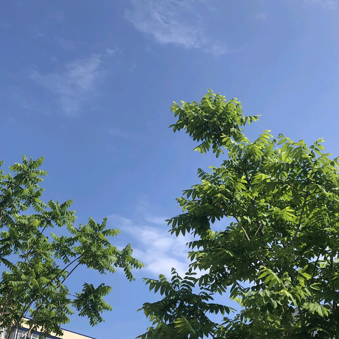 徐老头