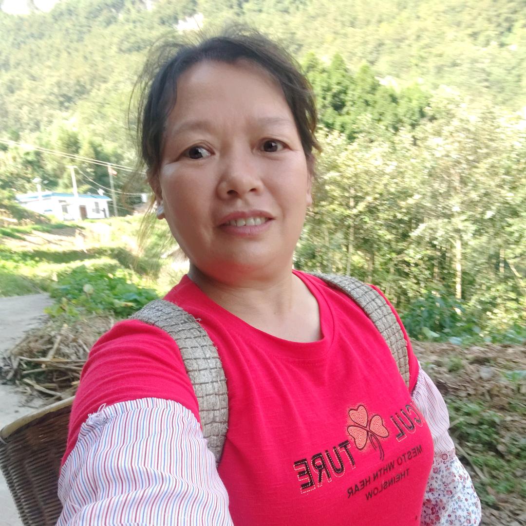 小菊姐《中午11.30》