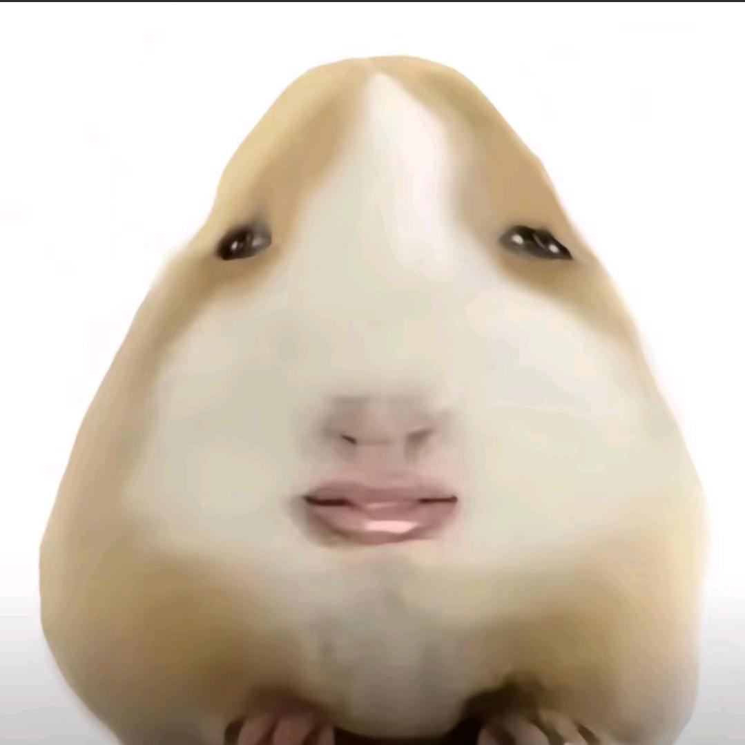 三角鼠头具有稳定性