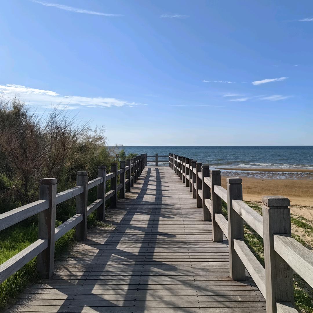 舒城县四季牛羊肉批发