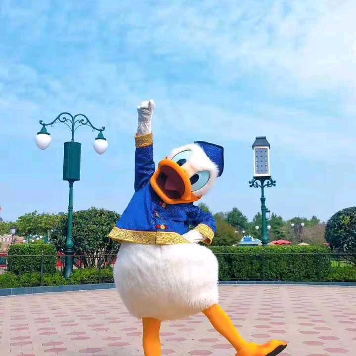 迪迪带你吃喝玩乐