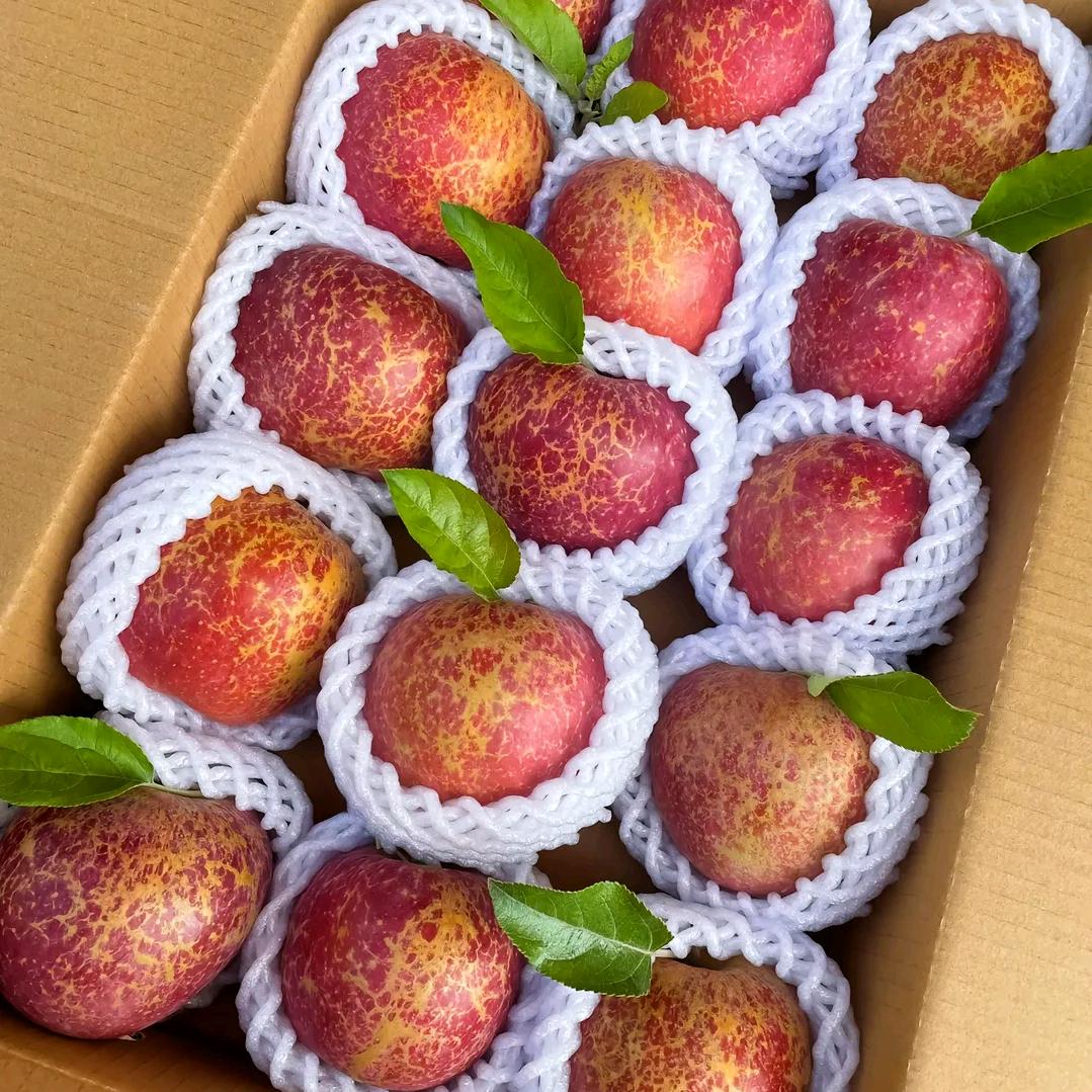 爱吃水果身体好