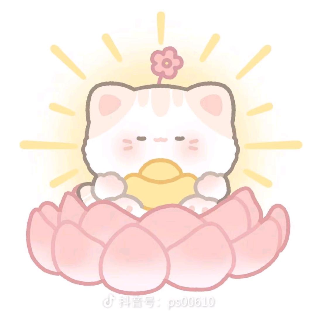 小猫爱吃鱼𝙠𝙞𝙩