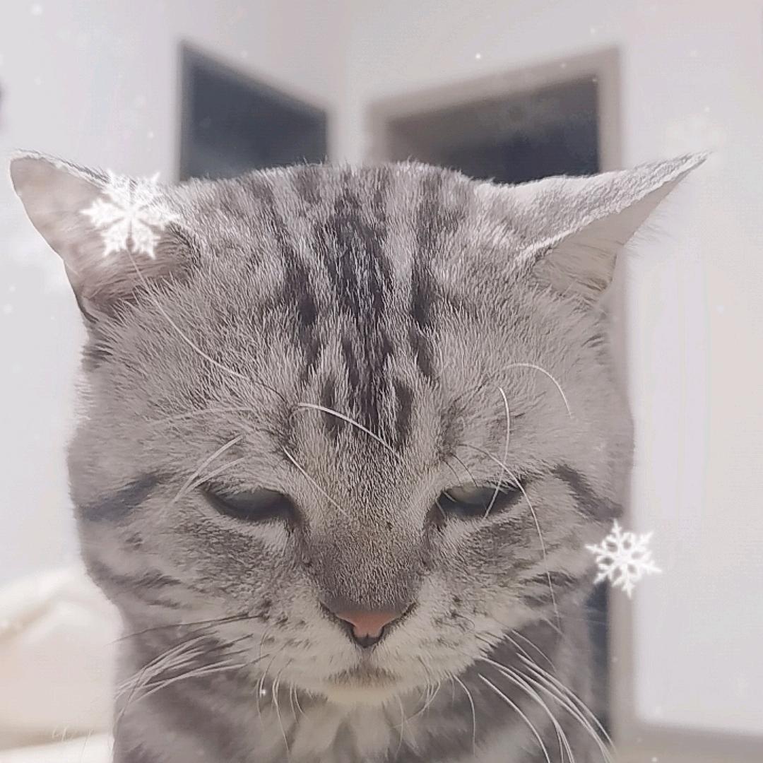 咖啡☕️